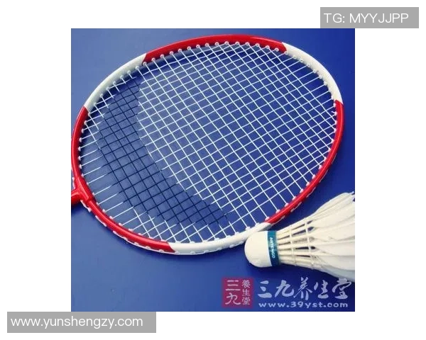 羽毛球装备选购指南：如何选择适合的护膝产品推荐