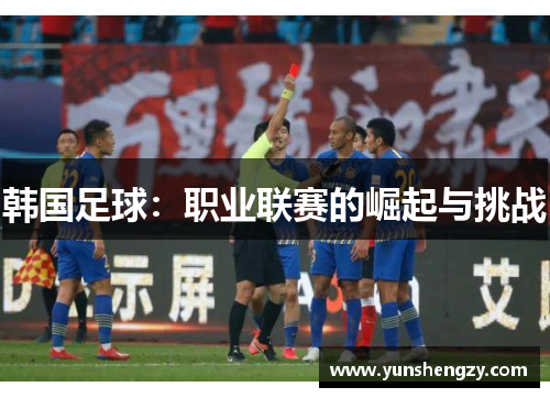 韩国足球：职业联赛的崛起与挑战